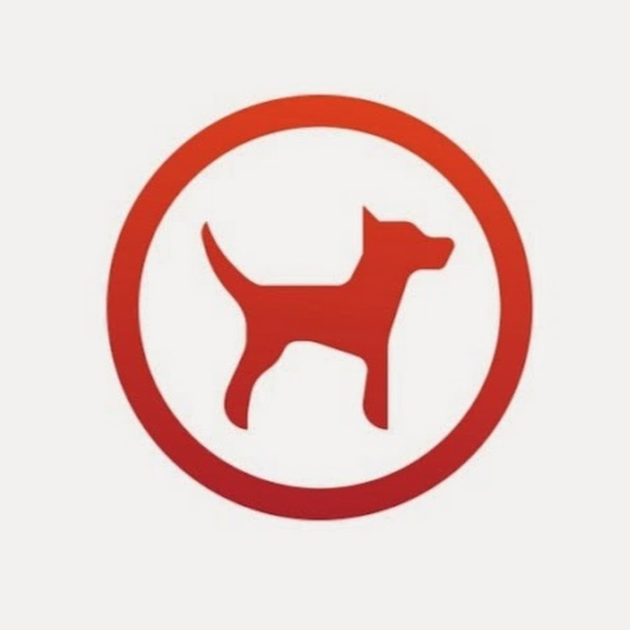 Dogwalker World YouTube kanalı avatarı