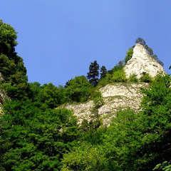 Ryszard2601