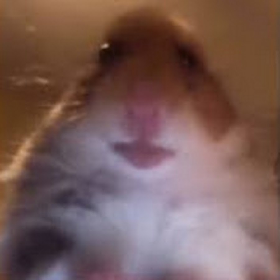 Furrazed Youtube