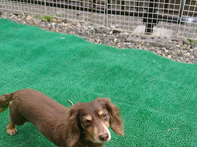 200以上 愛宕 洋榎 200192-愛宕洋榎