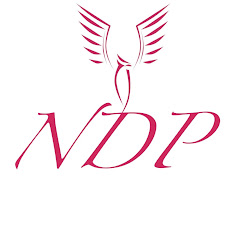 Niezależny Dziennik Polityczny