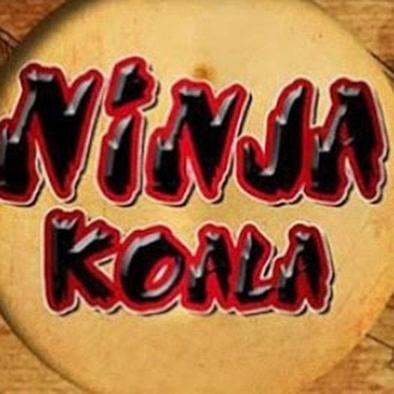 忍者無尾熊 - 網紅的藏寶箱 