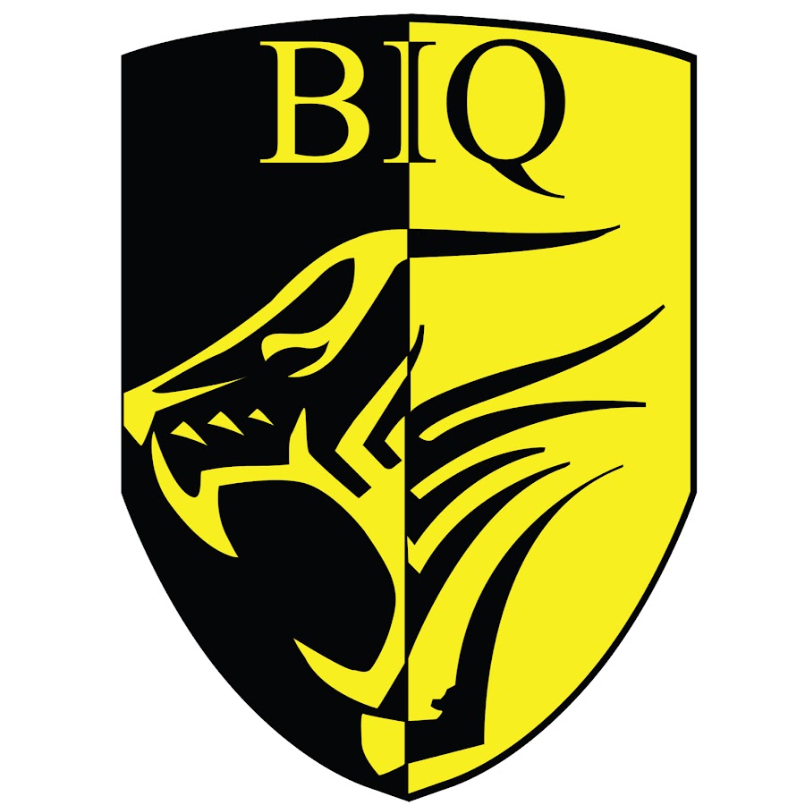 biq YouTube channel avatar