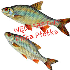 Wędkarstwo Dzika Płotka