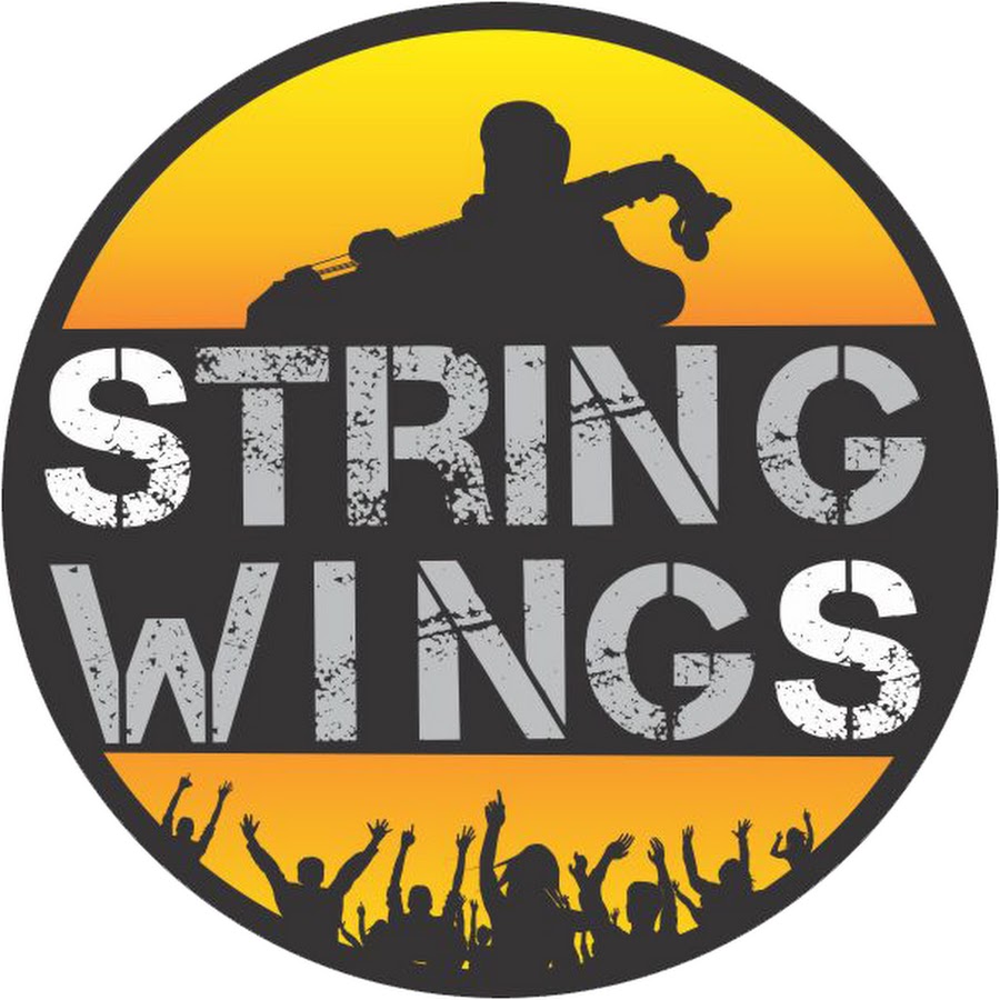 String Wings YouTube channel avatar