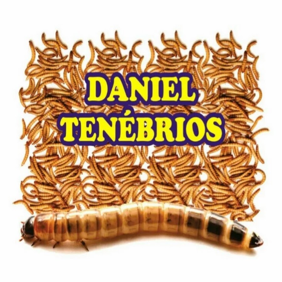 Daniel Tenebrios YouTube channel avatar