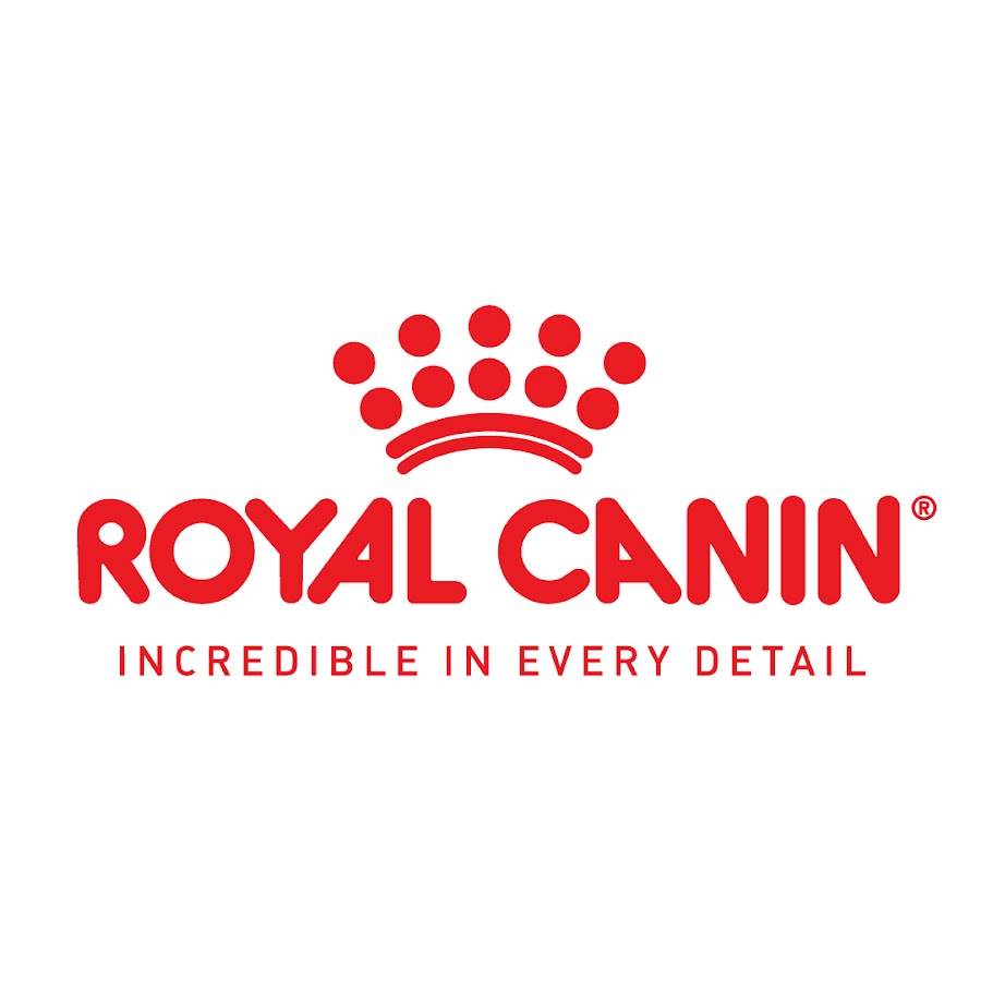 Royal Canin India YouTube kanalı avatarı
