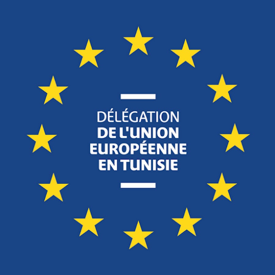 Delegation De L Union Europeenne En Tunisie Youtube