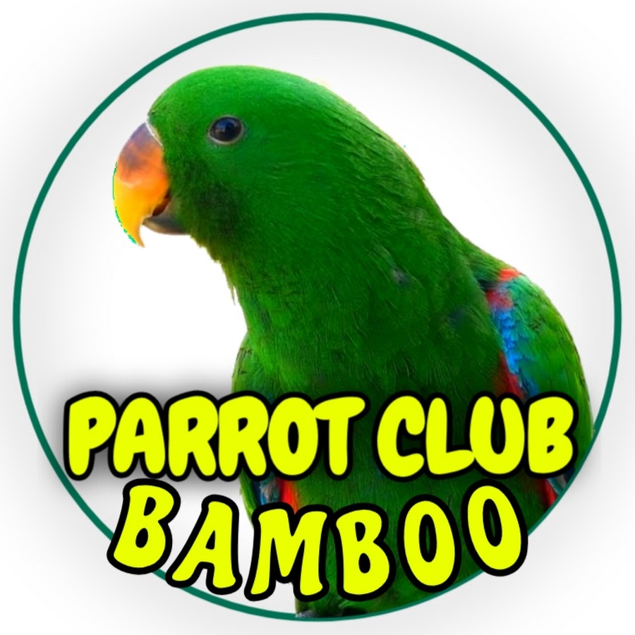 PARROT CLUB COCO