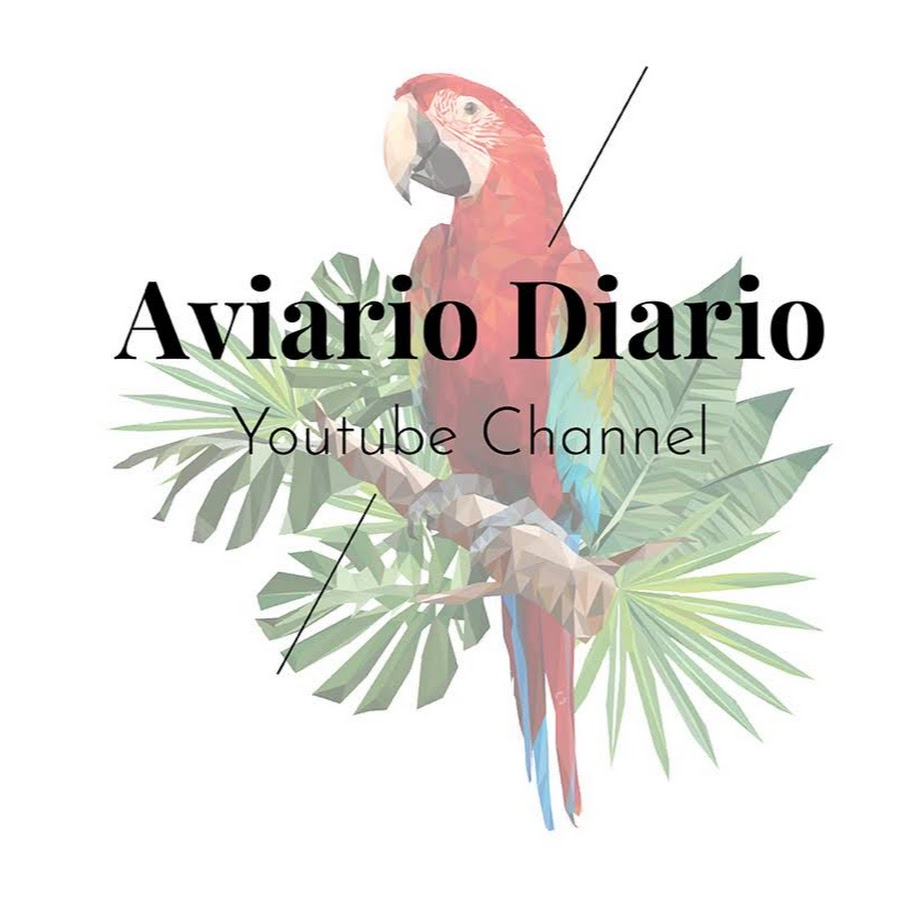 Aviario Diario رمز قناة اليوتيوب