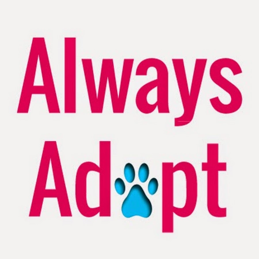 Always Adopt YouTube kanalı avatarı