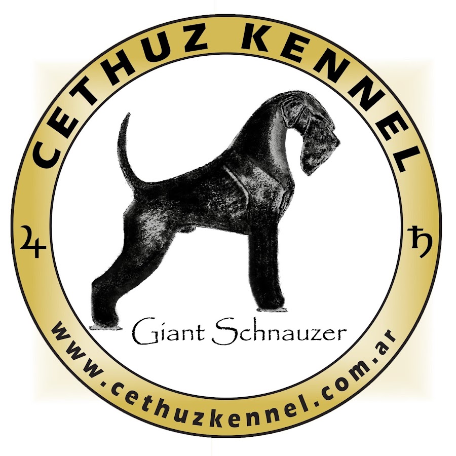 Cethuz KenneL Avatar canale YouTube 