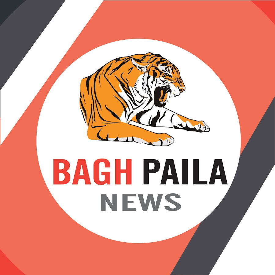 Baghpaila News YouTube kanalı avatarı