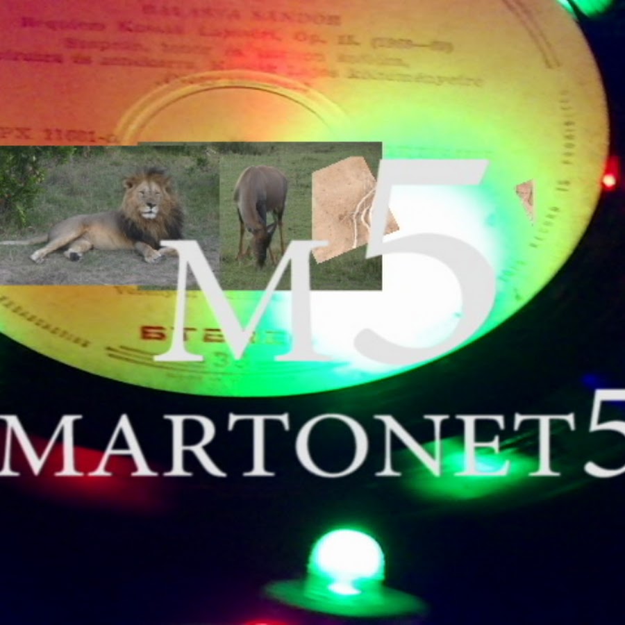 martonet5 Avatar canale YouTube 