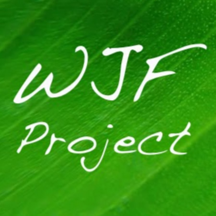 WJF Project (sub 1) YouTube channel avatar
