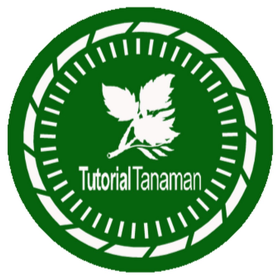 Tutorial Tanaman