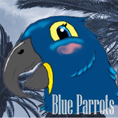 Blue Parrots