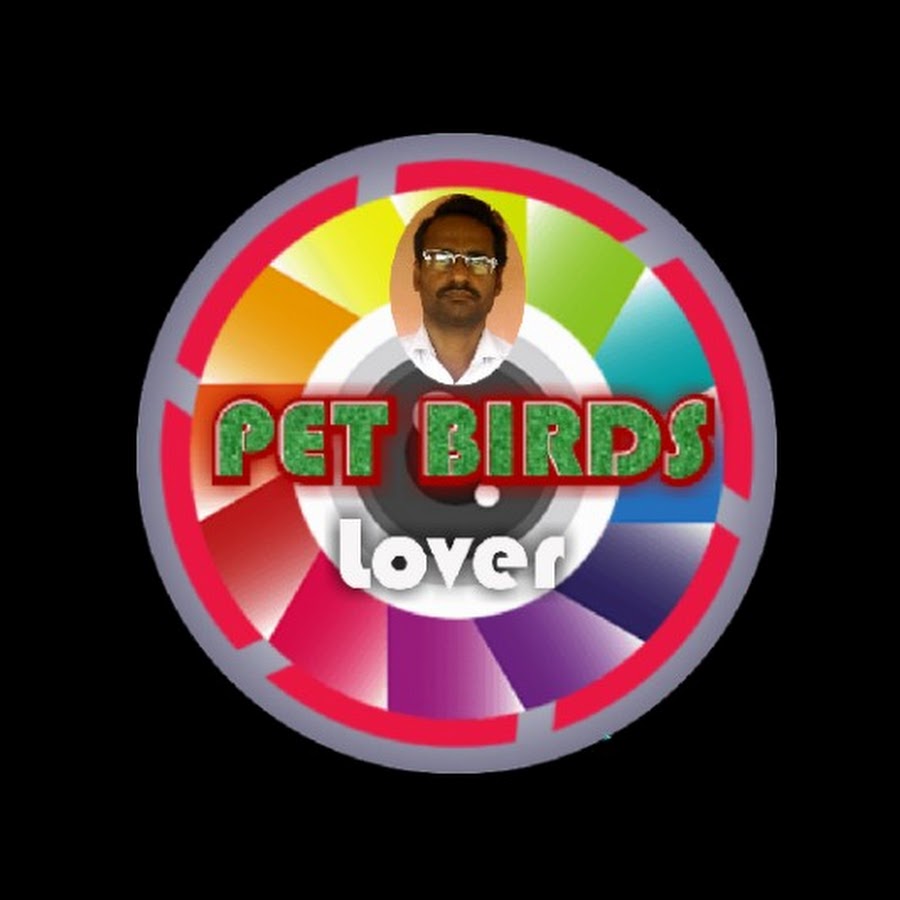 Pet Birds Lover YouTube channel avatar