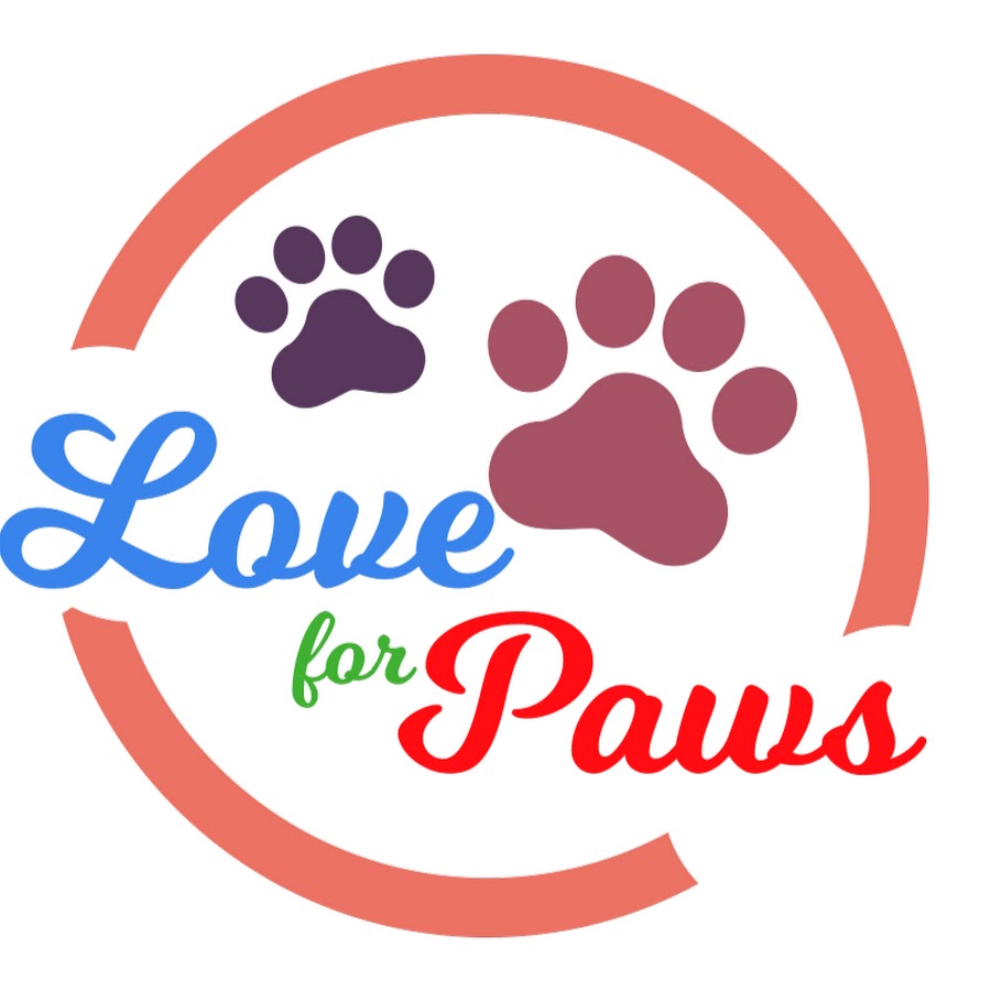 Love For Paws Awatar kanału YouTube