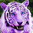 Purple Tiger Thrifting