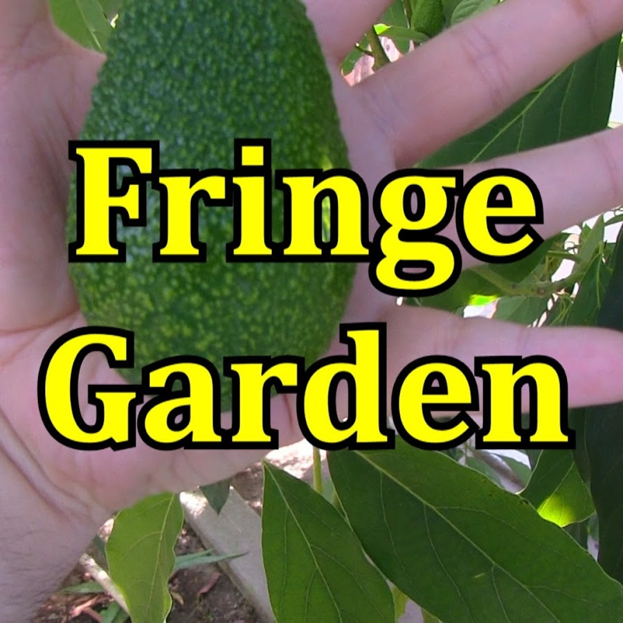 Fringe Garden Channel YouTube channel avatar