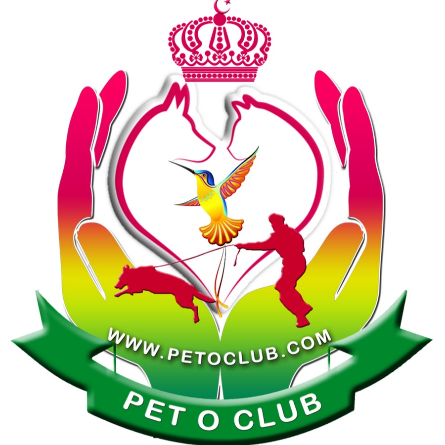 Pet O Club Official YouTube channel avatar