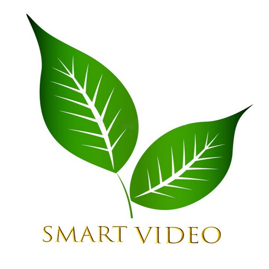 Smart Video YouTube channel avatar