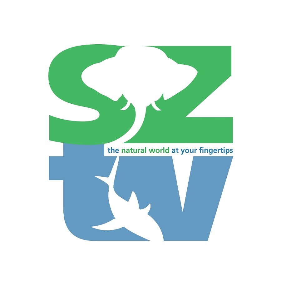 SZtv Avatar channel YouTube 