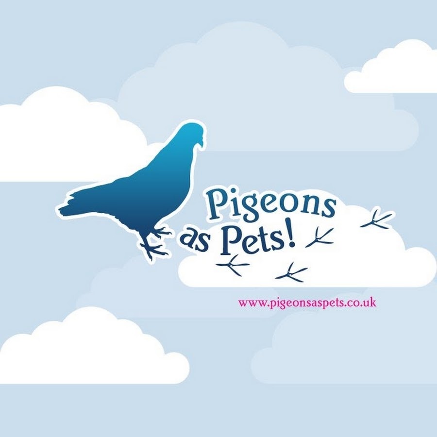 PigeonsAsPets YouTube channel avatar