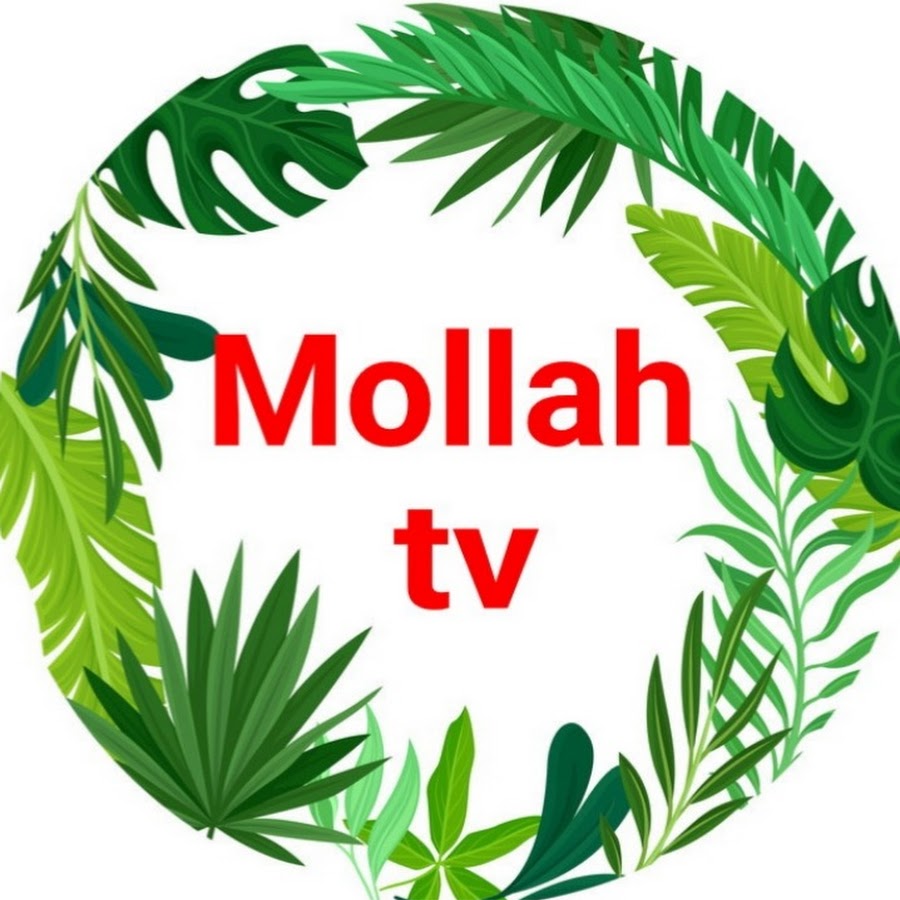 Mollah TV Avatar canale YouTube 