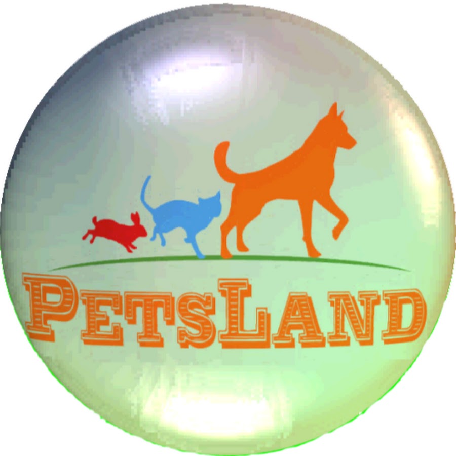 PetsLand YouTube kanalı avatarı