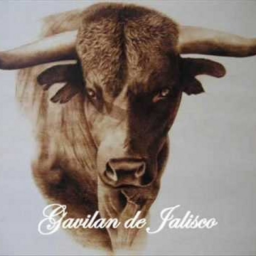 Gavilan de Jalisco Awatar kanału YouTube