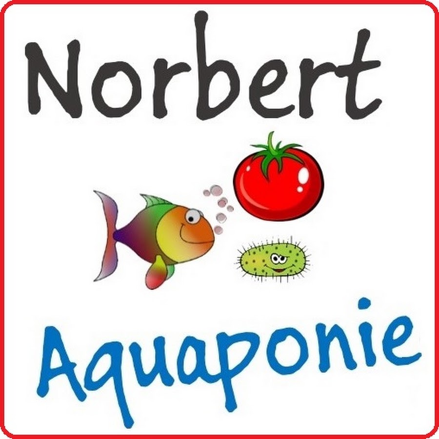 Norbert Aquaponie