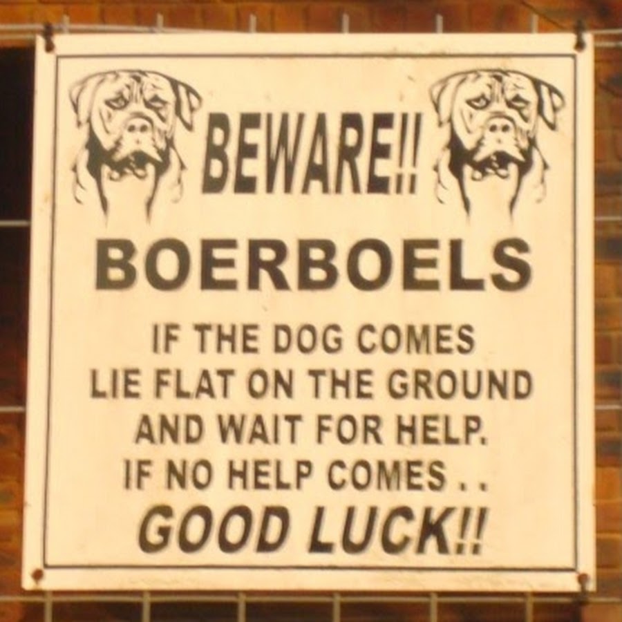 Beware Boerboels
