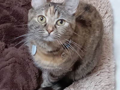 √99以上 池田 寛子 332354-池田寛子 長野