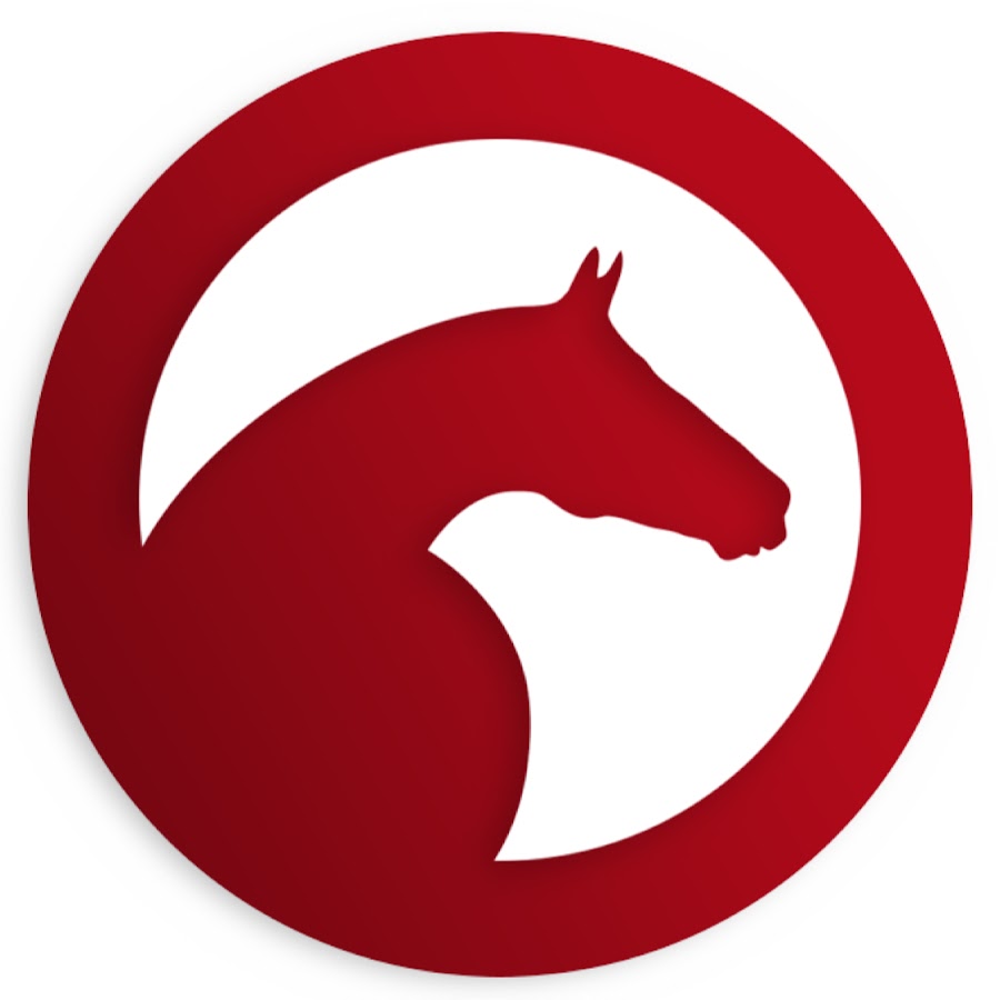 ClipMyHorse.TV Аватар канала YouTube