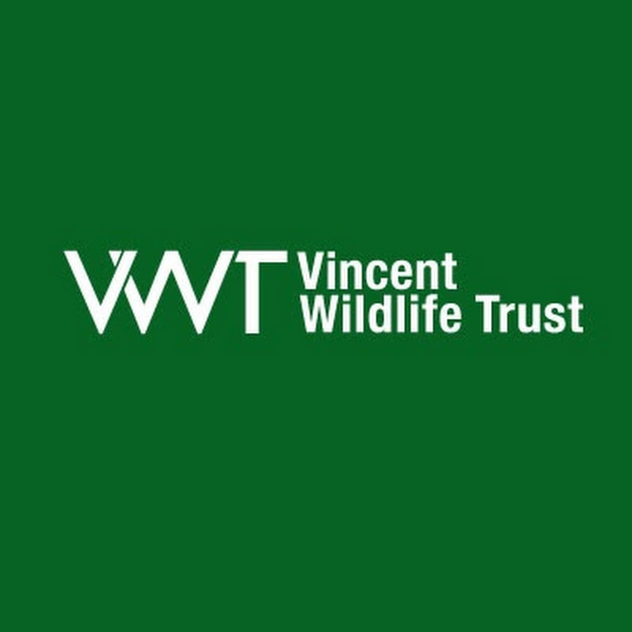 The Vincent Wildlife Trust Avatar canale YouTube 