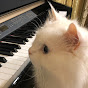 Classical Piano Education تعليم البيانو الكلاسيكي YouTube Profile Photo
