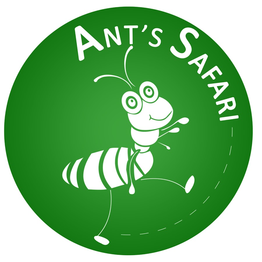 AnT's SaFAri SaFAri YouTube channel avatar