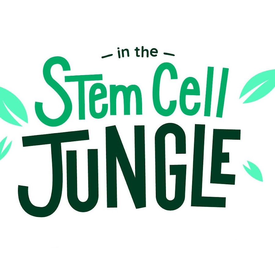In the Stem Cell Jungle
