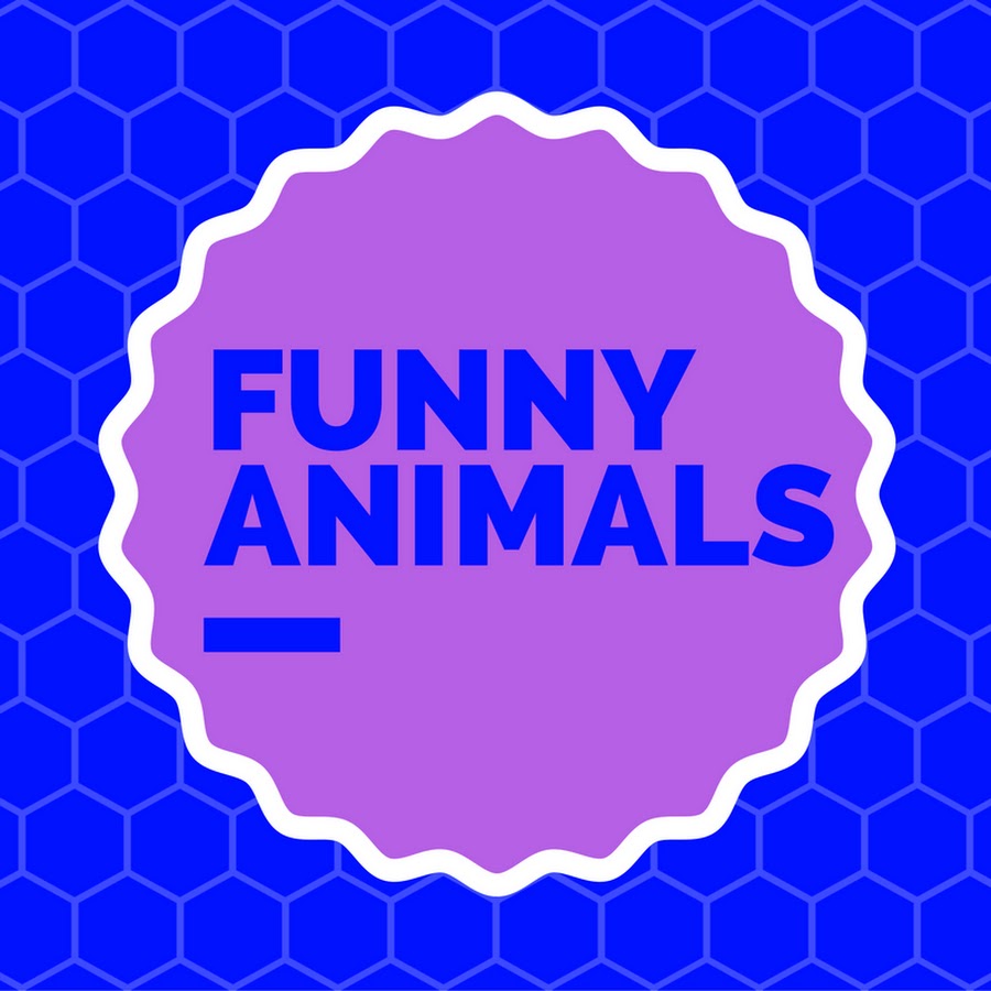 funny animals YouTube channel avatar