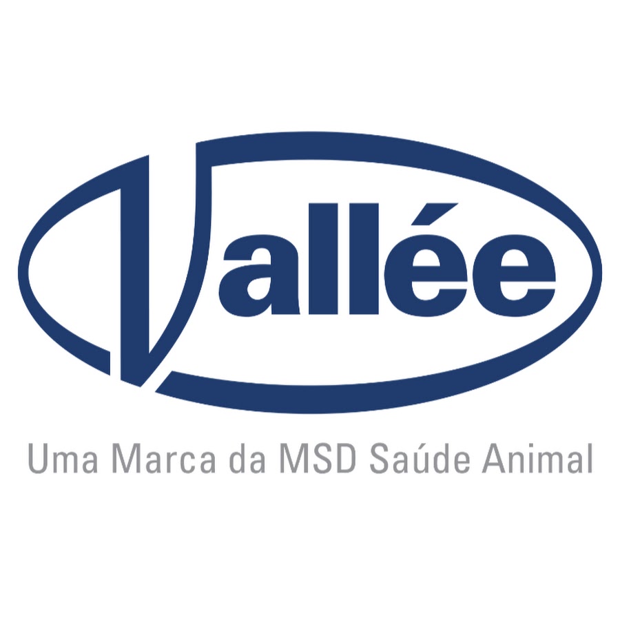 VallÃ©e S.A. YouTube channel avatar