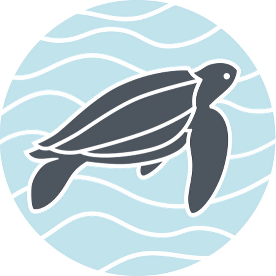 The Leatherback Trust YouTube channel avatar
