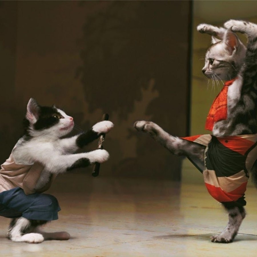 Animal Fightings Avatar del canal de YouTube