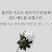 신나클래스