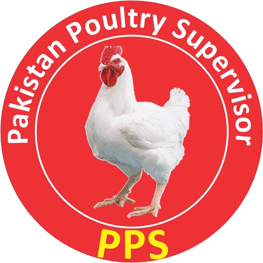 PPS Poultry यूट्यूब चैनल अवतार