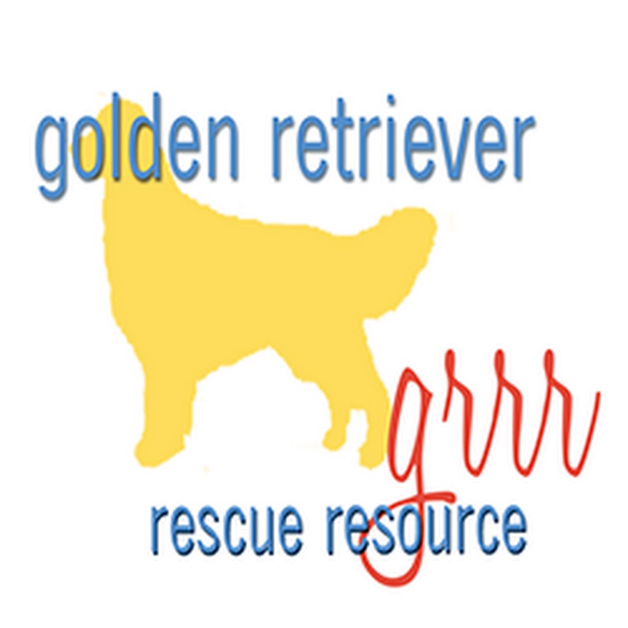 Golden Retriever Rescue Resource Avatar channel YouTube 