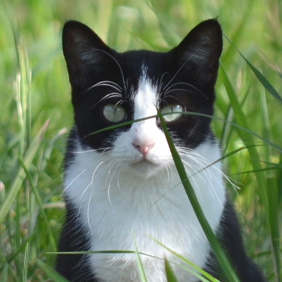 お前が言うな系youtuber クズ人間 Youtube