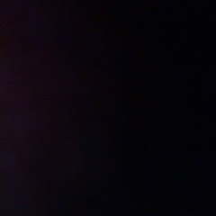 Testral
