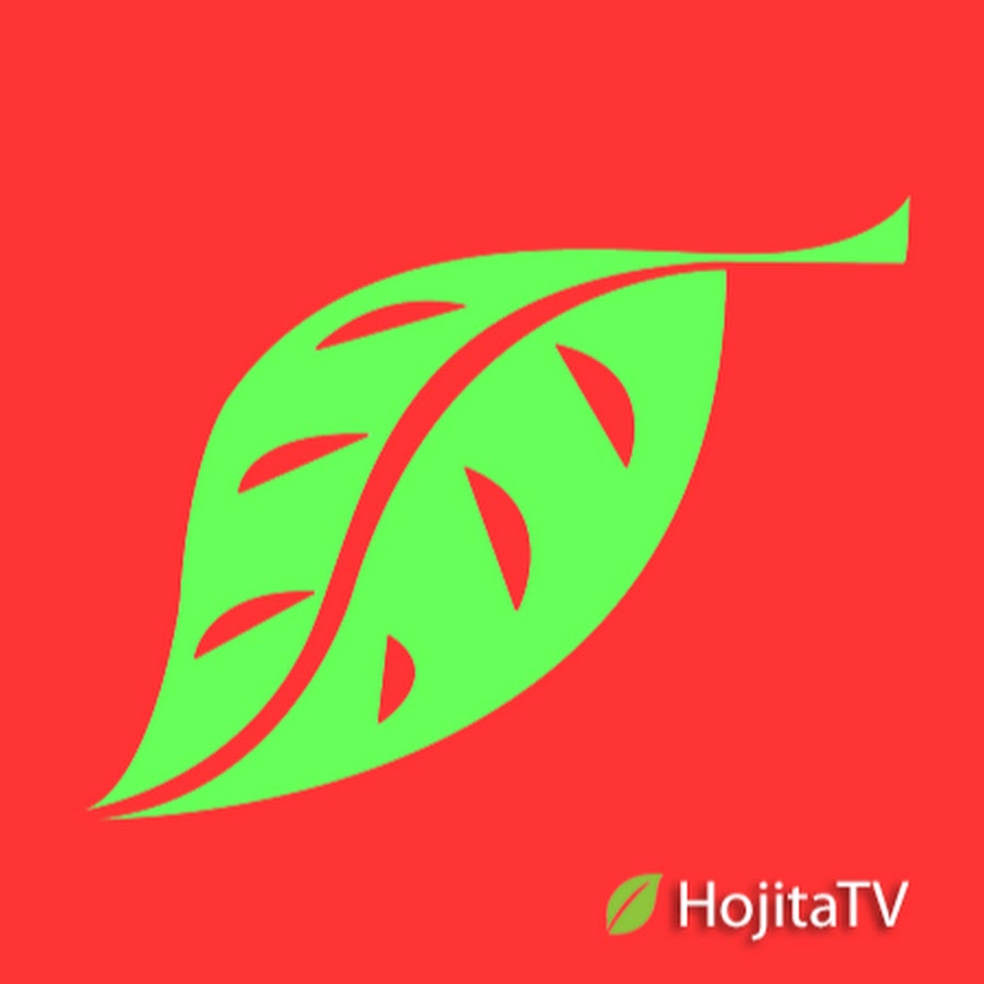 HojitaTV YouTube kanalı avatarı